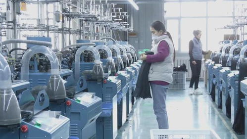 沙雅縣 立足棉花資源優(yōu)勢 讓 白色 產業(yè)大有可為