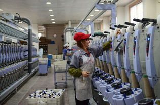 大竹縣依托優質苧麻資源做強紡織產業