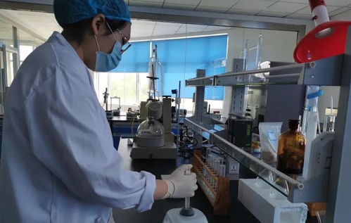 媒體企業(yè)行 走進(jìn)君星坊