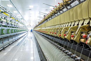 鄂爾多斯 中國羊絨的 國際化之路