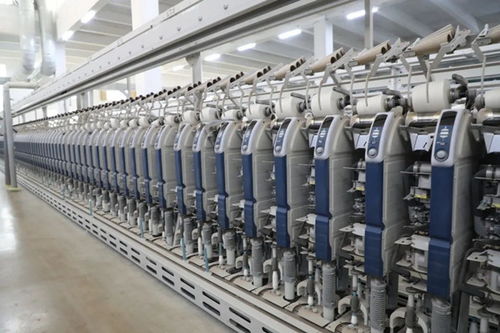 副省長羅小云到我縣調研紡織服裝產業鏈發展情況