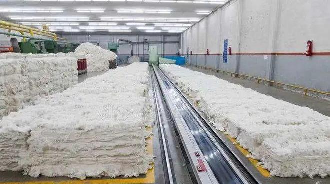 關(guān)于開展&ldquo;智目智能杯&rdquo;棉花知識及應(yīng)用技術(shù)專題學(xué)習(xí)月的活動通知