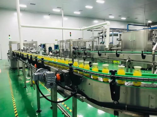 外行吃燕窩,內(nèi)行吃這個