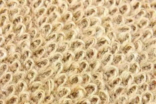 新型服裝材料 生態(tài)服裝材料