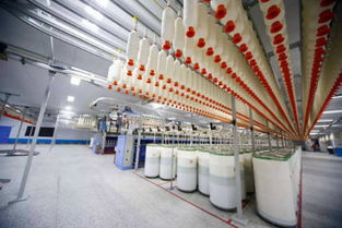 二手紡織設(shè)備 第9頁 網(wǎng)優(yōu)資訊