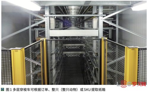 澳大利亞ncmc肉類加工廠提高公司競爭力的秘訣 自動(dòng)化物流系統(tǒng)