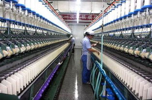 技術(shù) ▏幾種粗紗常見的問題分析