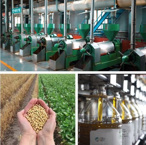 精耕促產(chǎn)業(yè) 堅(jiān)守做實(shí)業(yè) 西旅生態(tài)實(shí)業(yè)以農(nóng)產(chǎn)品精深加工為載體助力鄉(xiāng)村產(chǎn)業(yè)高質(zhì)量發(fā)展