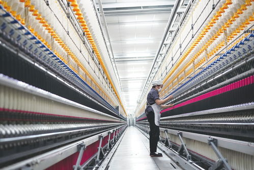 創新有道 大顯身手——民營經濟高質量發展觀察之一 紡紗加工