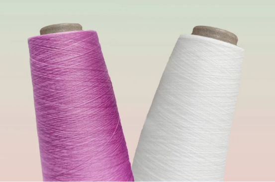 綠色轉型與智能制造并行，新聞中心探訪現代印染加工新圖景